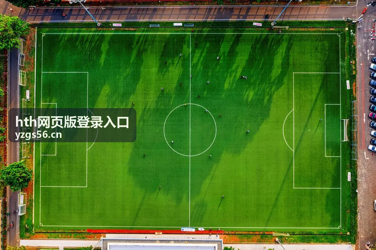 hth网页版登录入口账号信息核对界面