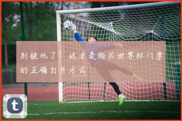 别被坑了！这才是购买世界杯门票的正确打开方式