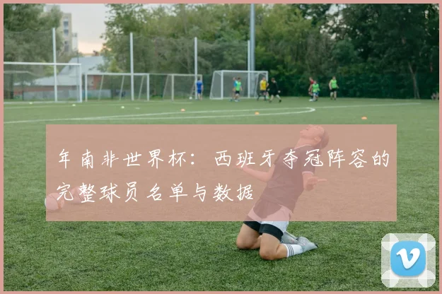 年南非世界杯：西班牙夺冠阵容的完整球员名单与数据